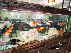 -福禄财东北菜(珠江帝景店)