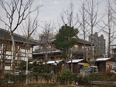 -洋湖国家湿地公园