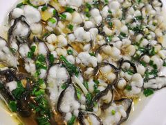 -呼吸森林·生态农庄农家乐私房菜