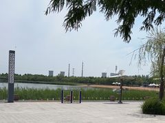 -东营·森林乐园