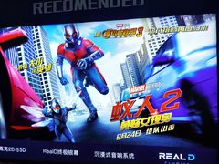 -奥斯卡升龙国际影城(RealD Cinema)