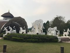 -清迈夜间动物园