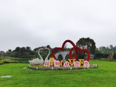 -瑶湖郊野森林公园