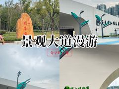 -中山市树木园