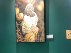 -烹然四季椰子鸡火锅(姚家园万象汇店)