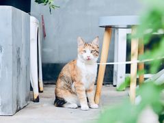 -隹木咖啡馆(宝龙广场店)