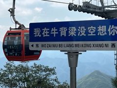 -牛背梁国家森林公园