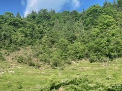 -龙水峡地缝景区
