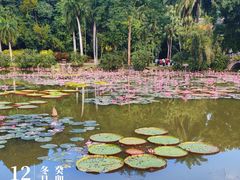 -中国科学院西双版纳热带植物园