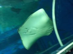 -北戴河圣蓝海洋公园