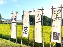 -光明小镇欢乐田园