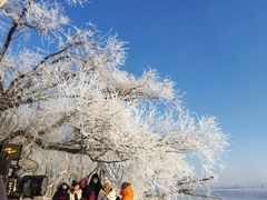 -雾凇岛