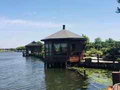 -鹅湖玫瑰文化园