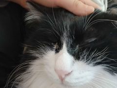 -平行世界·猫咖(首经贸店)