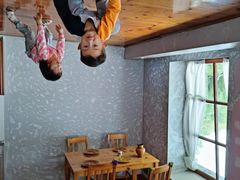 -金山农民画村-枫泾波兰倒置屋