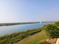-大湾区中央湿地公园-十九涌