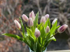 -循礼门鲜花花市(武汉循礼门店)