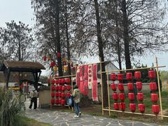 -同里国家湿地公园