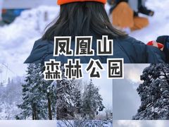 -安康凤凰山森林公园
