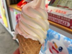 -蜜雪冰城(万达广场外B号门门口外集装箱店)