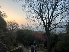 -紫金山山顶公园