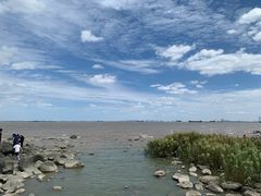 -上海吴淞炮台湾国家湿地公园