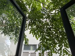-琼海·狮椰美食楼