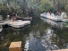 -寿山福海养老服务中心(石景山院)