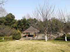 -求雨山文化公园