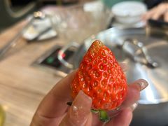 -探窝·竹笙椰子鸡(杨箕店)