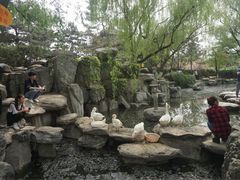 -西安青龙寺遗址景区