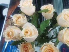 -循礼门鲜花花市(武汉循礼门店)