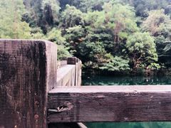 -宁海森林温泉