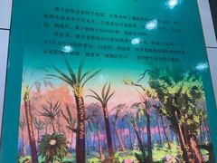 -吉林省自然博物馆