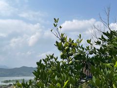 -东钱湖旅游度假区