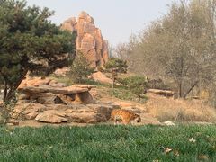 -北京野生动物园