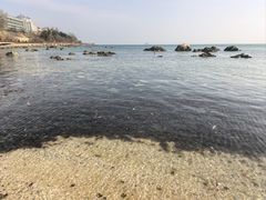 -养马岛旅游度假区