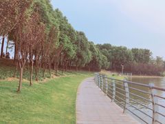 -美兰湖景区