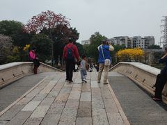 -荔湾湖公园