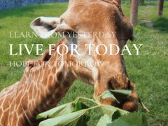 -石家庄市动物园