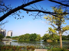 -新江湾城公园