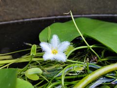 -博鳌禅寺