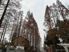 -云间粮仓