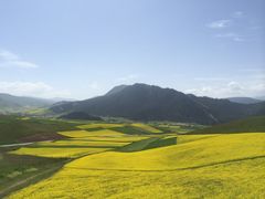 -扁都口生态休闲旅游区