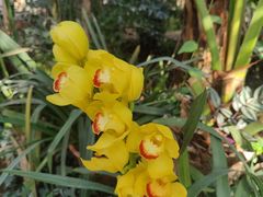 -国家植物园南园