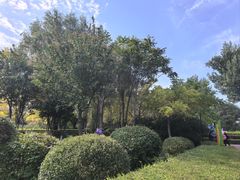 -红山国家森林公园