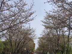 -长田漾湿地公园