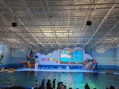 -蓬莱欧乐堡海洋极地世界