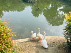 -钰园(水绘园店)