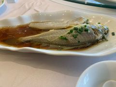 -骏莱海鲜鱼港(五角场店)